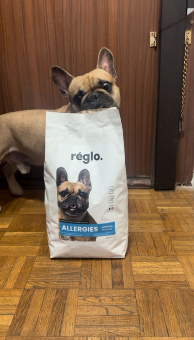 L'avis de Melissa O. sur les croquettes aux insectes pour chien de la marque Réglo