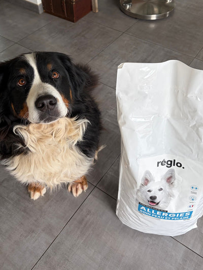 L'avis de Elodie F. sur les croquettes aux insectes pour chien de la marque Réglo