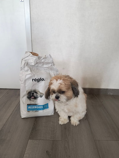 L'avis de Suzy G. sur les croquettes aux insectes pour chien de la marque Réglo