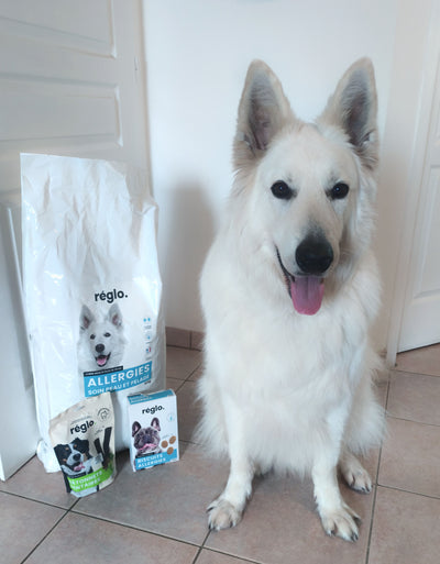 L'avis de emilie c. sur les croquettes aux insectes pour chien de la marque Réglo