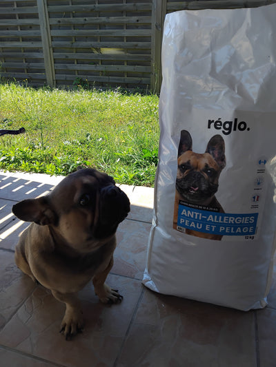 L'avis de Bruno R. sur les croquettes aux insectes pour chien de la marque Réglo