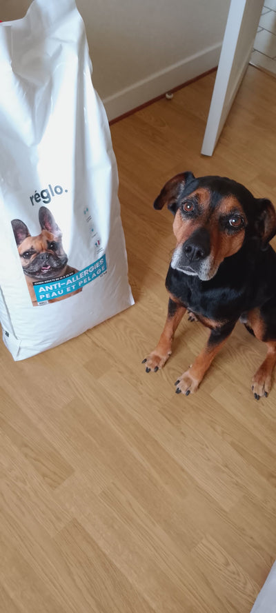 L'avis de Marie Thérèse S. sur les croquettes aux insectes pour chien de la marque Réglo