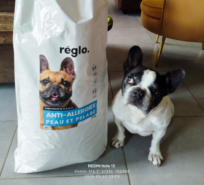L'avis de Stephanie G. sur les croquettes aux insectes pour chien de la marque Réglo