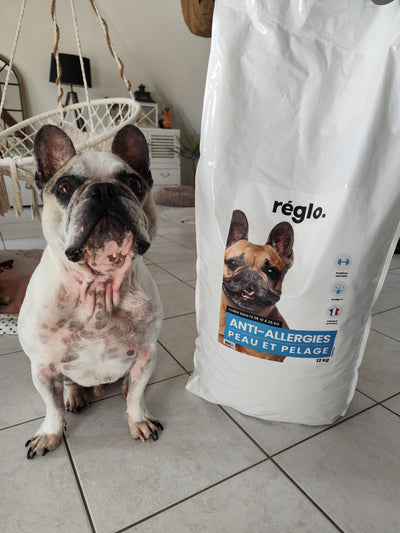 L'avis de Mégane C. sur les croquettes aux insectes pour chien de la marque Réglo