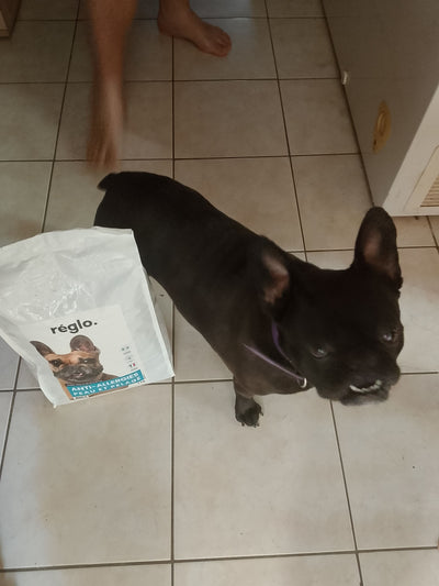 Avis sur Valerie D. — croquettes chien
