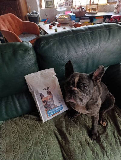 Avis sur Laurette A. — croquettes chien