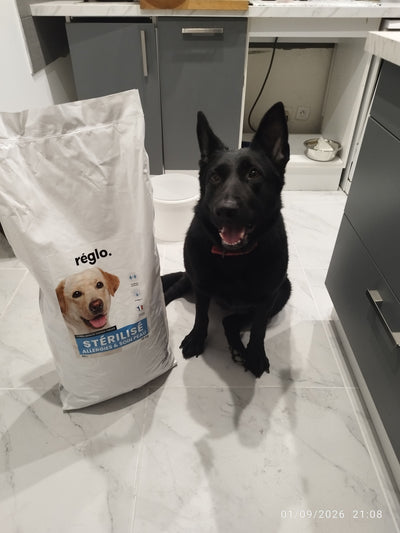 Avis sur Valérie B. — croquettes chien