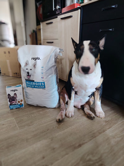 Avis sur Sonia J. — croquettes chien