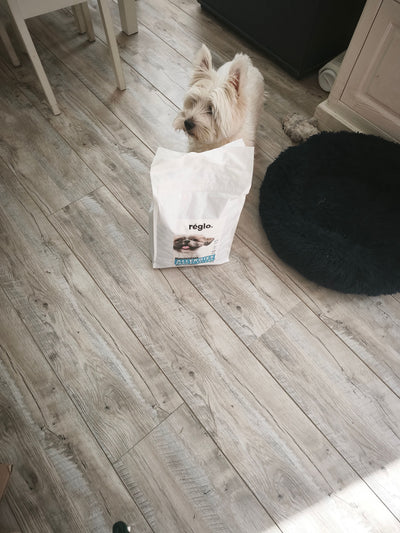 Avis sur Michèle M. — croquettes chien
