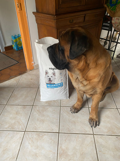 L'avis de Brigitte N. sur les croquettes aux insectes pour chien de la marque Réglo