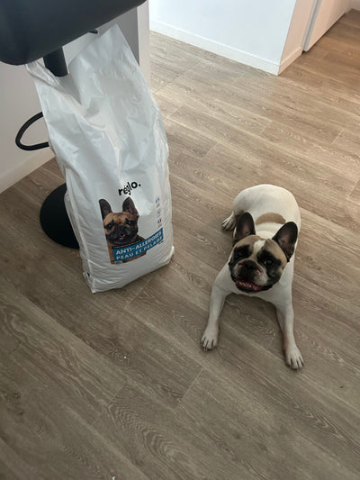 Avis sur Claire C. — croquettes chien