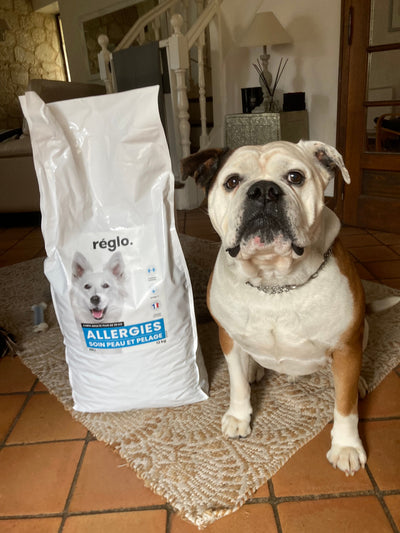 L'avis de Nathalie T. sur les croquettes aux insectes pour chien de la marque Réglo