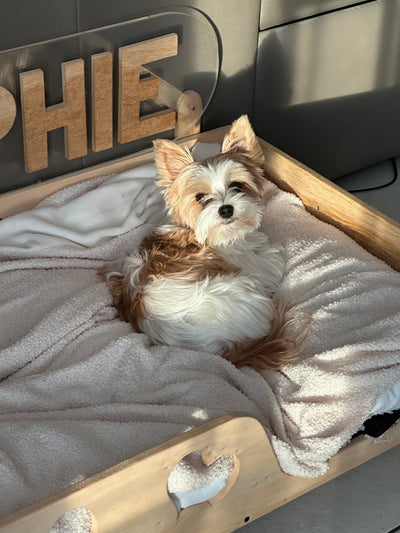 Avis sur Evelyne C. — croquettes chien