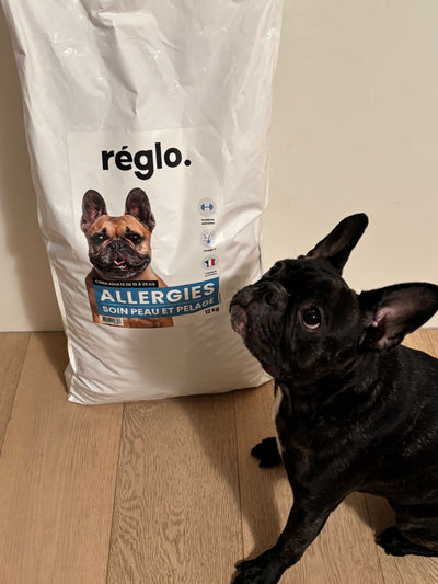 L'avis de Patricia B. sur les croquettes aux insectes pour chien de la marque Réglo