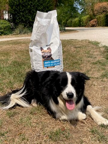 Avis sur Stéphanie L. — croquettes chien