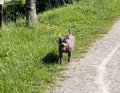 Avis sur Nadège G. — croquettes chien