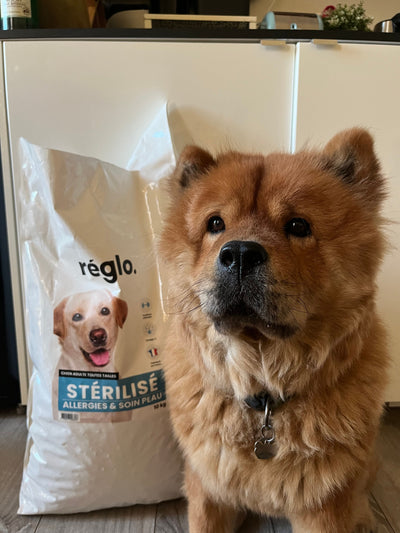 L'avis de Rose-Mai J. sur les croquettes aux insectes pour chien de la marque Réglo