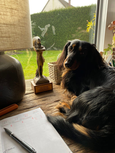 L'avis de Michelle d. sur les croquettes aux insectes pour chien de la marque Réglo