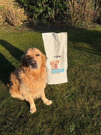 L'avis de Valerie B. sur les croquettes aux insectes pour chien de la marque Réglo