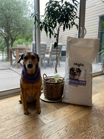Avis sur fanny j. — croquettes chien