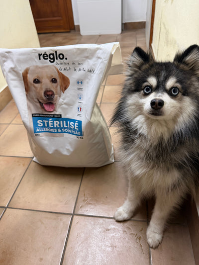 Avis sur YVAN W. — croquettes chien