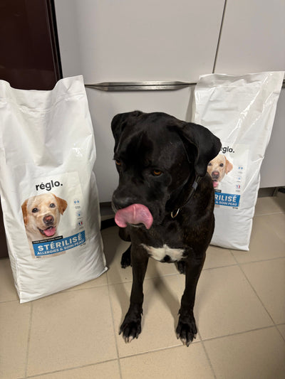 L'avis de Frédérique F. sur les croquettes aux insectes pour chien de la marque Réglo