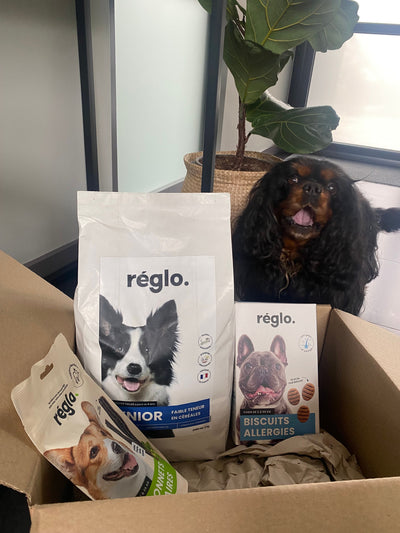 L'avis de M S. sur les croquettes aux insectes pour chien de la marque Réglo
