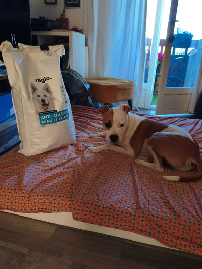 Avis sur delphine d. — croquettes chien