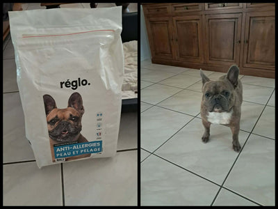 Avis sur Lydia N. — croquettes chien