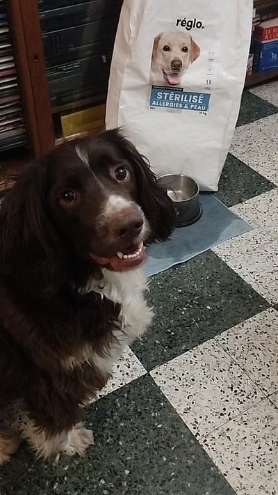 Avis sur Raymonde D. — croquettes chien