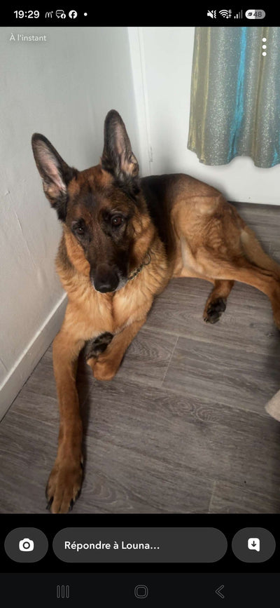 Avis sur Carine S. — croquettes chien