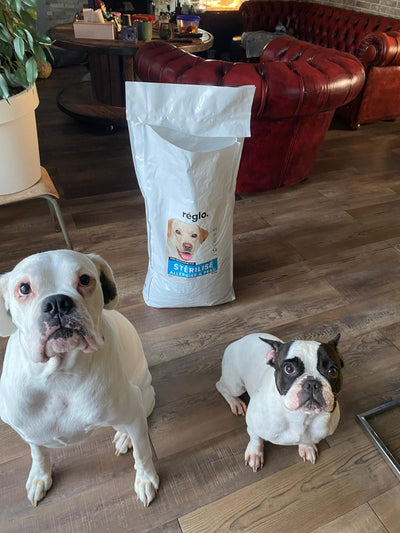 Avis sur Isabelle P. — croquettes chien