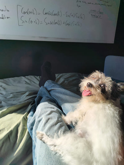Avis sur Coralie B. — croquettes chien