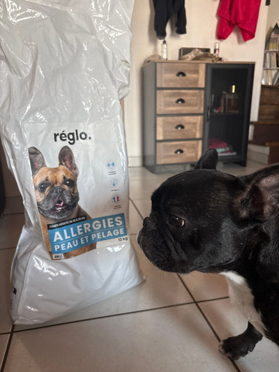 Avis sur Sylvie B. — croquettes chien