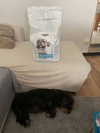 Avis sur Cecilie C. — croquettes chien