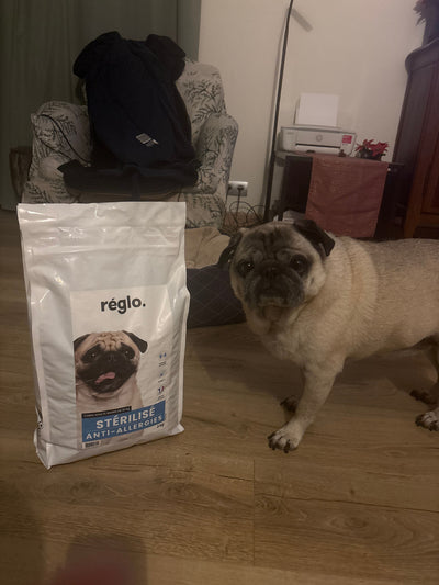Avis sur Iusco L. — croquettes chien
