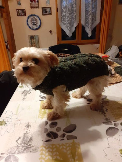 L'avis de Genevieve d. sur les croquettes aux insectes pour chien de la marque Réglo