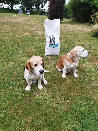 Avis sur PHILIPPE P. — croquettes chien