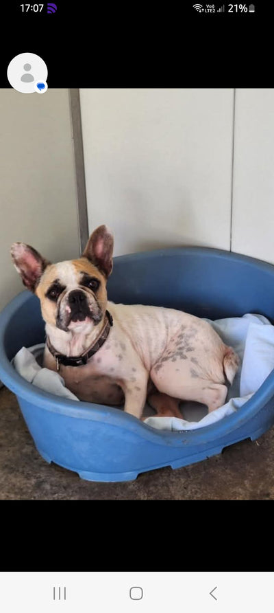 Avis sur Valérie N. — croquettes chien
