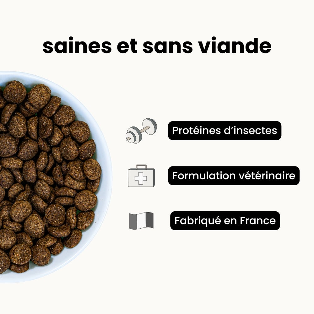 Croquettes Équilibre - Chien Adulte 2 à 25 kg