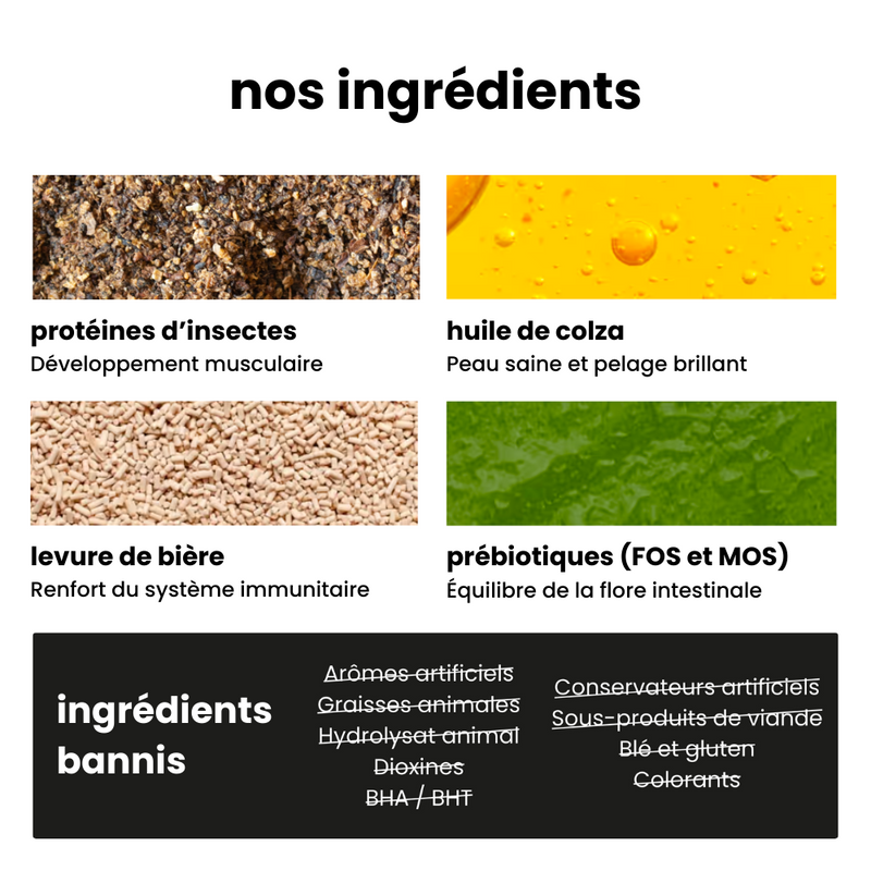 Croquettes Digestion - Chiot Toutes Tailles