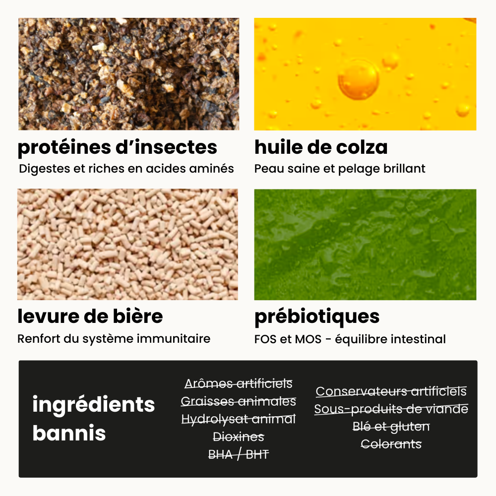 Croquettes Digestion - Chien Adulte 2 à 25 kg