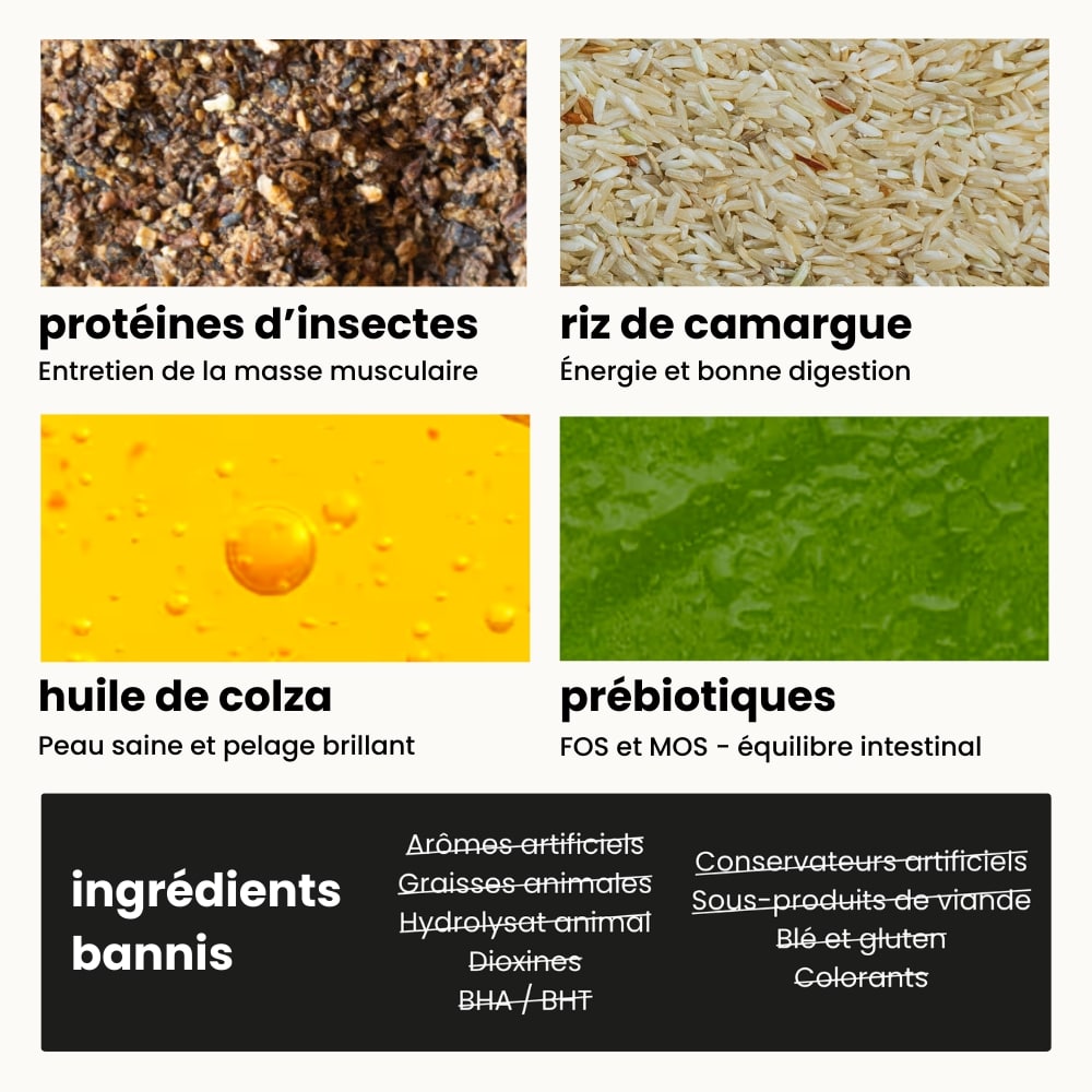 Croquettes Équilibre - Chien Adulte 2 à 25 kg