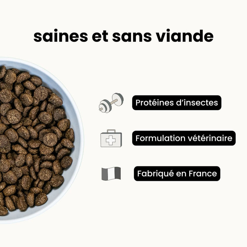 Croquettes Équilibre - Chien Adulte Moins de 10 kg