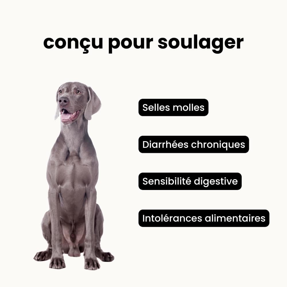 Croquettes Digestion - Chien Adulte Plus de 25 kg