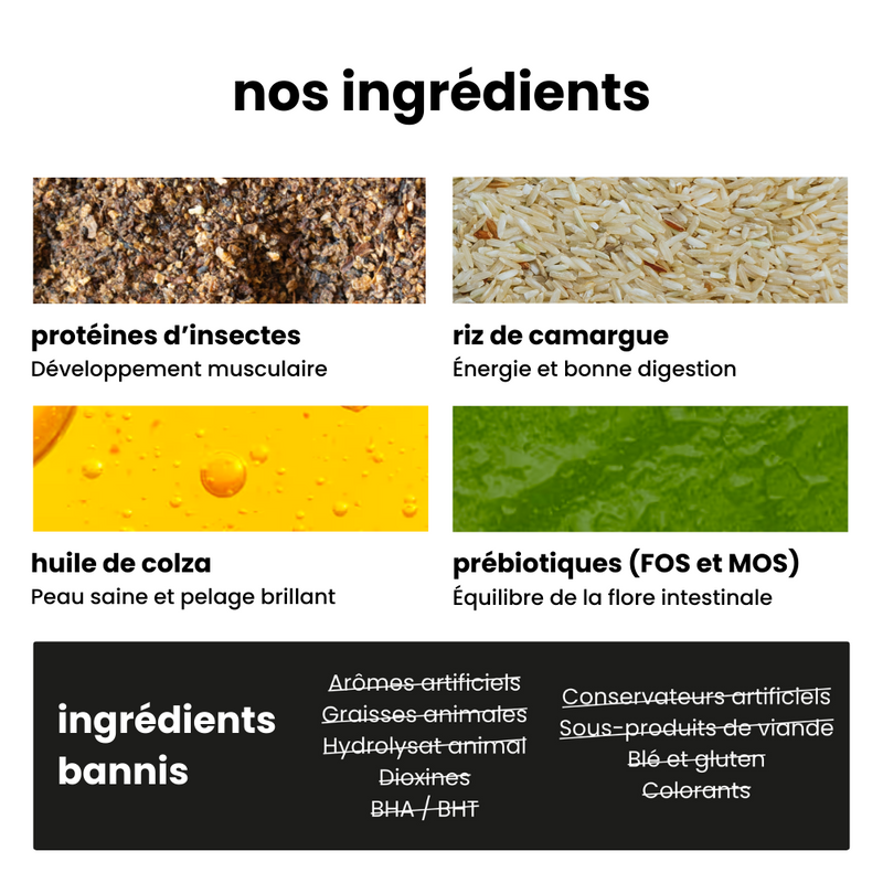 Croquettes Équilibre - Chiot Plus de 30 kg Adulte
