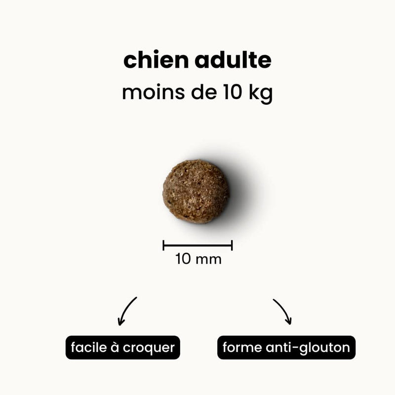 Croquettes équilibre - Chien adulte moins de 10 kg