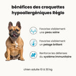 Croquettes hypoallergéniques - Chien adulte 10 à 30 kg