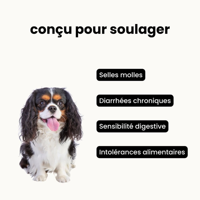 Croquettes digestion sensible - Chien adulte moins de 10 kg