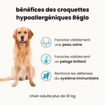 Croquettes hypoallergéniques - Chien adulte plus de 30 kg